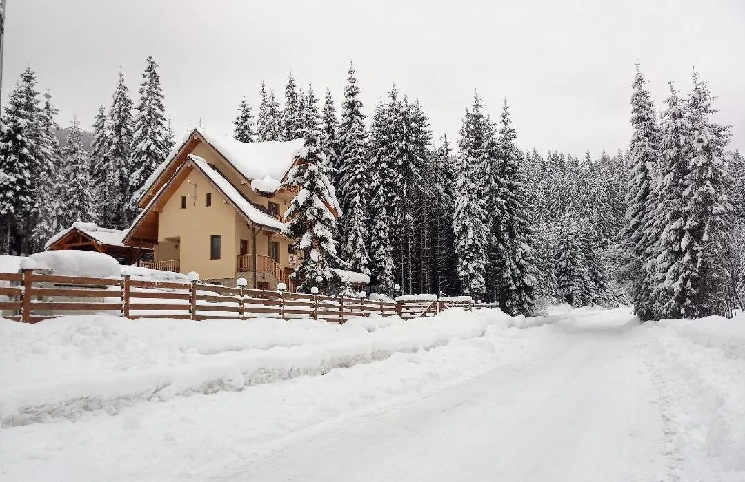 Vidra Parc-1